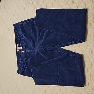 WHBM blue stretch pants, size 8, felt feel for dressing up